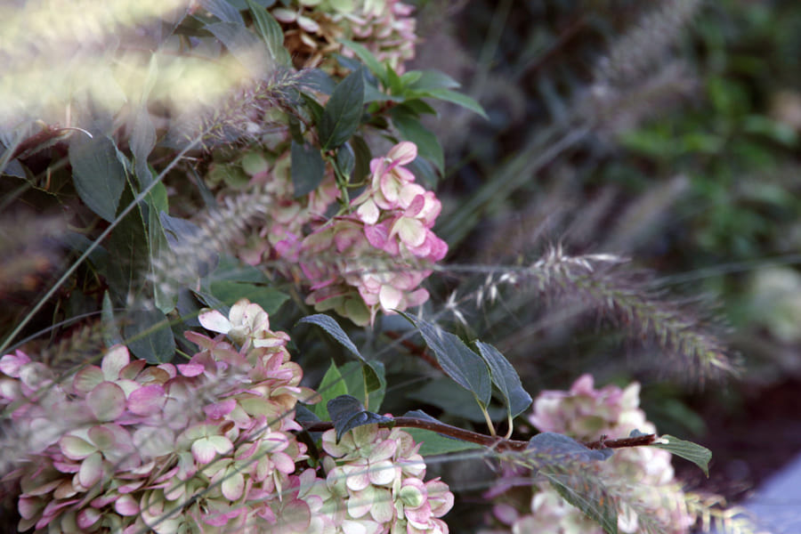 Gartengestaltung vom Profi mit blühenden Blumen