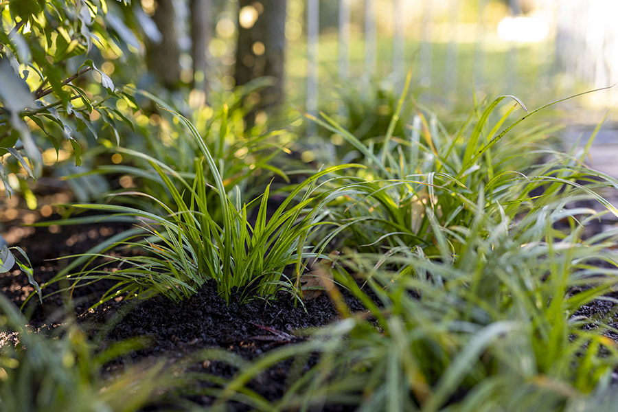 Gartengestaltung Traumgarten Planung und Beratung