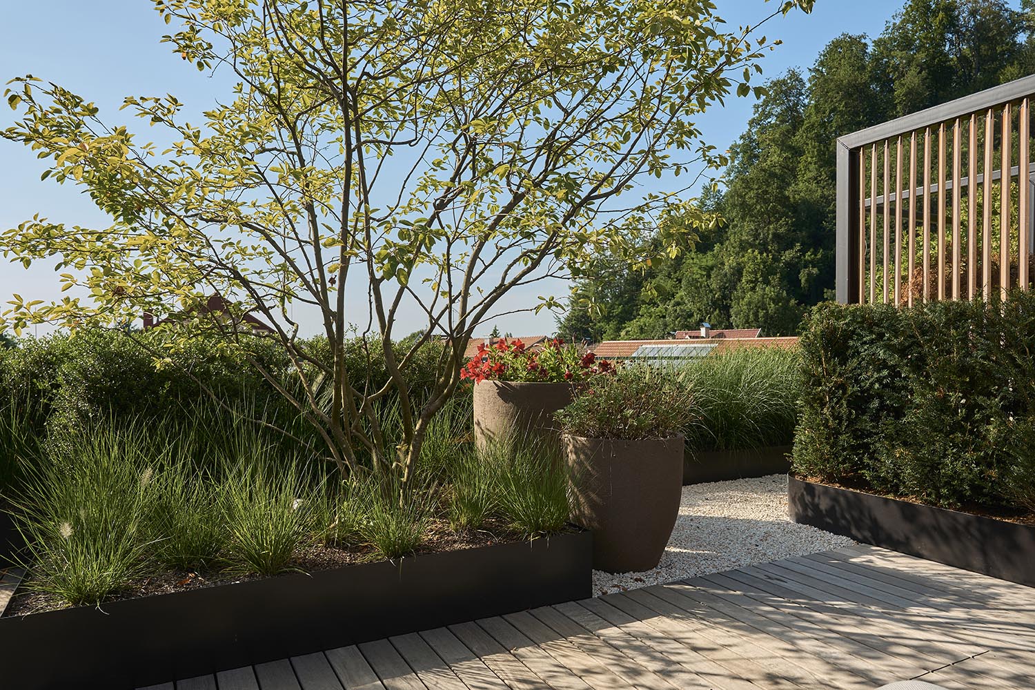 Gartengestaltung & Pflege