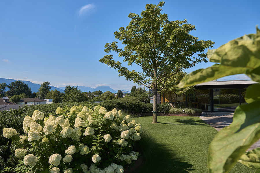 Gartengestaltung & Pflege