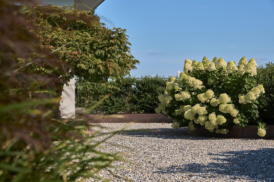 Gartengestaltung & Pflege